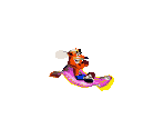 Crash Bandicoot (Carpet)