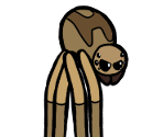 Longleg Spider