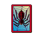 Cards & Splash Screen (Spider)