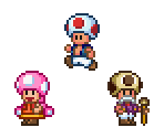 Toad, Toadette, & Toadsworth