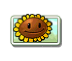 Seed Packets (Low Resolution)