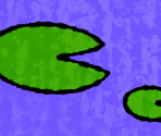 Purple Pond