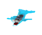 Shark