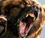Game Banner & Icon