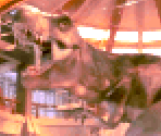 Jurassic Park