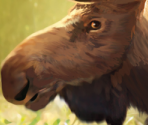 Game Banners & Icon