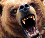 Game Banners & Icon