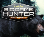 Game Banners & Icon
