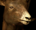 Game Banners & Icon