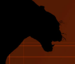 Game Banners & Icon