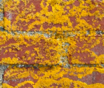 Puzzle 11