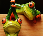 Challenge 027 (02/2019)