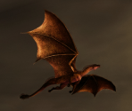 Challenge 030 (05/2019)