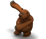 Brown Bear