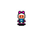 Bomber Lady