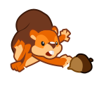 Angry Squirrel