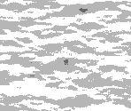 Wave