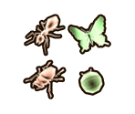 Bug Icons