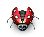 Bug 1