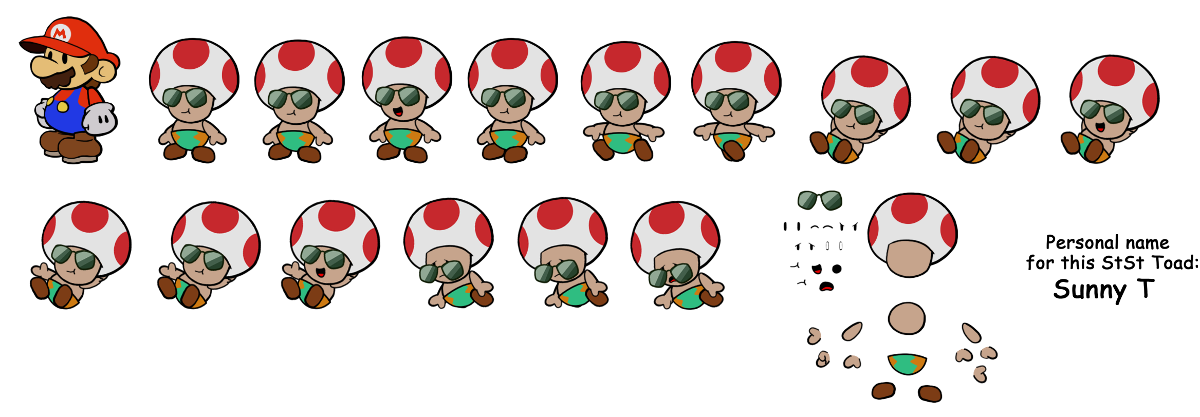 Paper Mario Customs - Oasis Toad (Paper Mario-Style)
