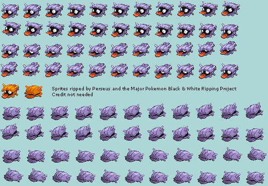 Pokémon Black / White - #090 Shellder