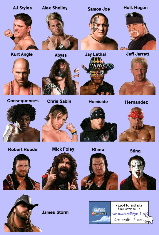 / DSi - TNA Cross the Line - In-Game Portraits - Spriters