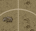 Skull Field - Mega Man's Soccer
