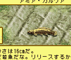 Landing Backgrounds - Kawa no Nushi Tsuri 5: Fushigi no Mori Kara (JPN)
