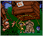 Introduction - Marsupilami