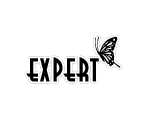 DJ Level - beatmania IIDX (Series)