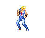 Ray McDougal - Fighter's History