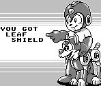 Password & Got Item Screens - Mega Man II