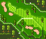 Caribbean Course #16 - Mobile Golf (JPN)