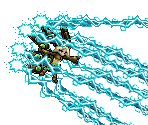 OAO-ONE - Metal Slug Attack