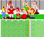 Field - Tecmo Bowl