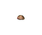 #0220 Swinub - Pokémon Generation 2 Customs