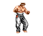Mizoguchi - Fighter's History