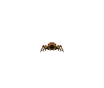 Louse - Mars 3D