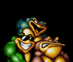 Battle Toads - Battletoads & Double Dragon: The Ultimate Team