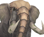 Elephant - Alicia Online 2.0