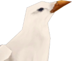 Gull - Alicia Online 2.0