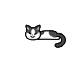 Cat - Toem: A Photo Adventure