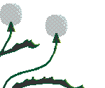 Stage 3-1 - Fantasia