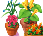 Patrick’s Flower Shop - Delicious - Emily's Hopes and Fears