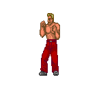 Joe - Fighting Street / Street Fighter