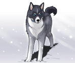 Opening - Husky Express