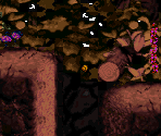 Web Woods - Donkey Kong Country 2: Diddy's Kong Quest