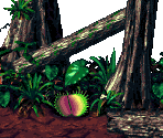 Jungle Jinx Bonus 1 - Donkey Kong Country 2: Diddy's Kong Quest