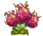 Dragon Bruit - Plants vs. Zombies 2