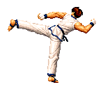 Kim - The King of Fighters '95